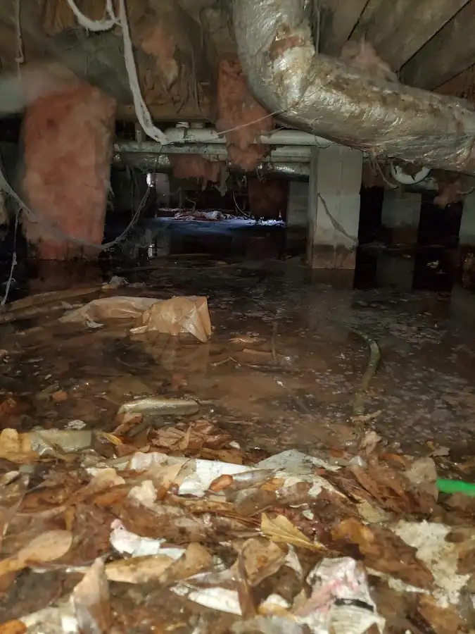 Crawl space flood assessment for Leak Detection & Repair in Rockwall